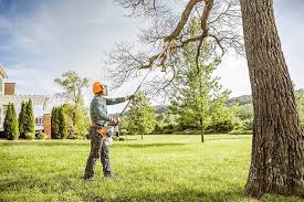 Best Utility Line Clearance  in Maysville, KY